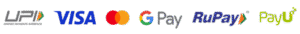 Kryptronix Payment