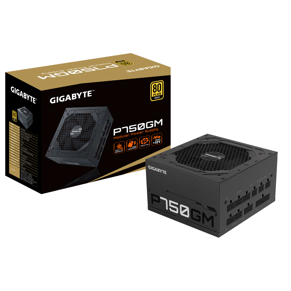 Gigabyte P750GM 750 Watts 80 Plus Gold Fully Modular PC Component